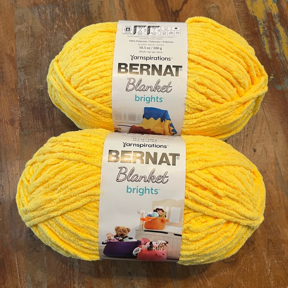 Two New Skeins of Bernat Blanket Brights Yarn